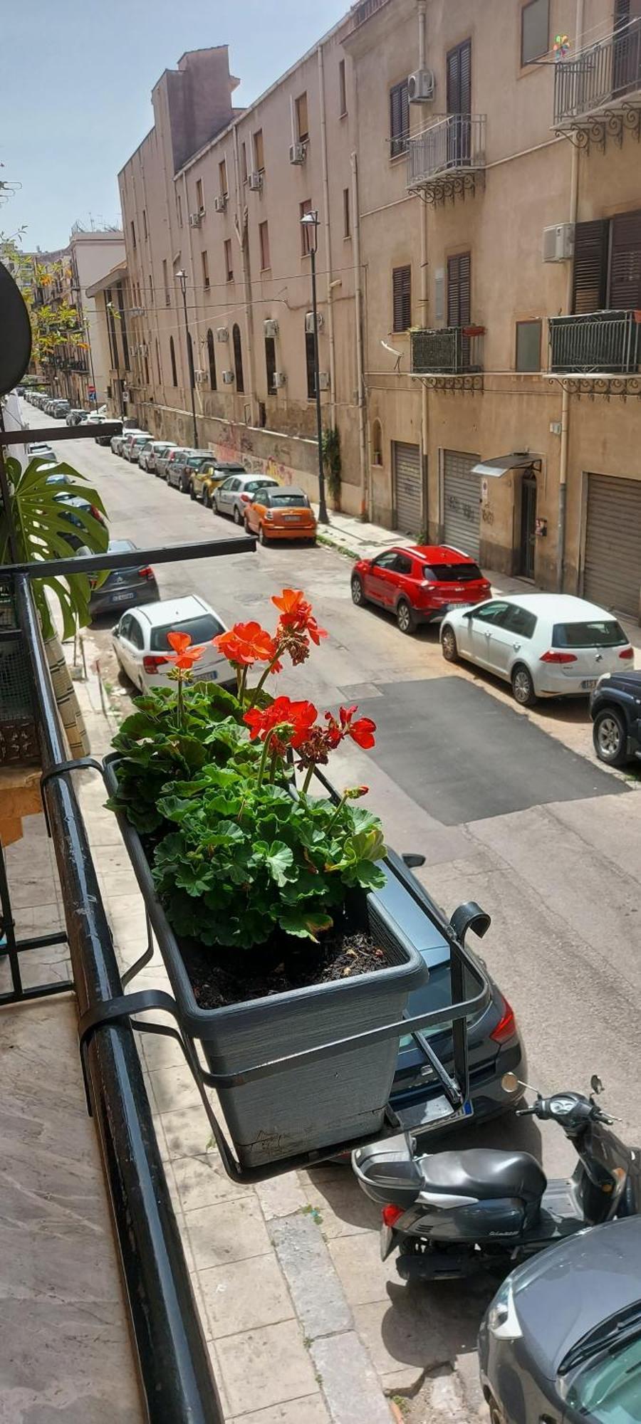 شقة Civico 67 باليرمو المظهر الخارجي الصورة